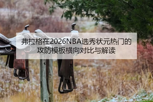 fu-la-ge-zai-xuan-xiu-zhuang-yuan-re-men-de-gong-fang-mu-ban-heng-xiang-dui-bi-yu-jie-du-2-282.jpg